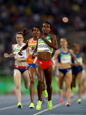 Genzebe Dibaba Poster 10276423