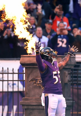 Terrell Suggs Poster 10308087