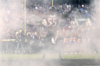Terrell Suggs poster