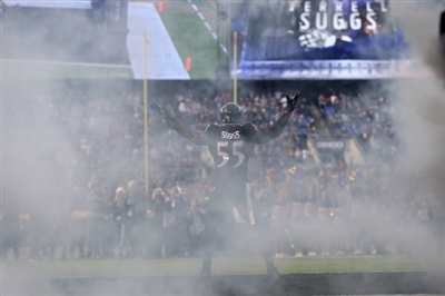 Terrell Suggs poster