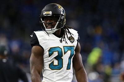 Johnathan Cyprien puzzle 10310239