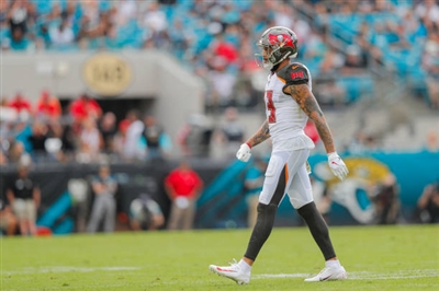 Mike Evans canvas poster