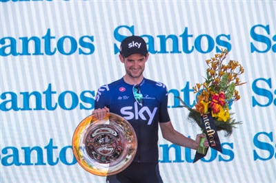 Wout Poels pillow